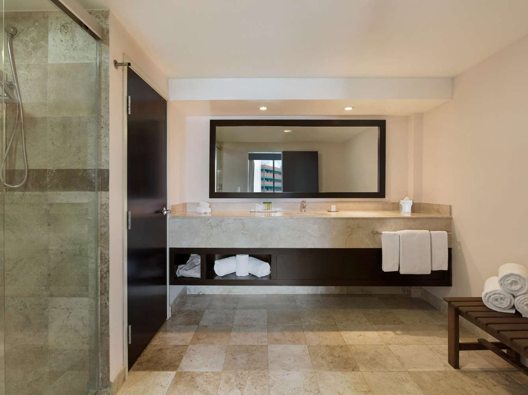 Doubletree By Hilton Hotel Queretaro主图