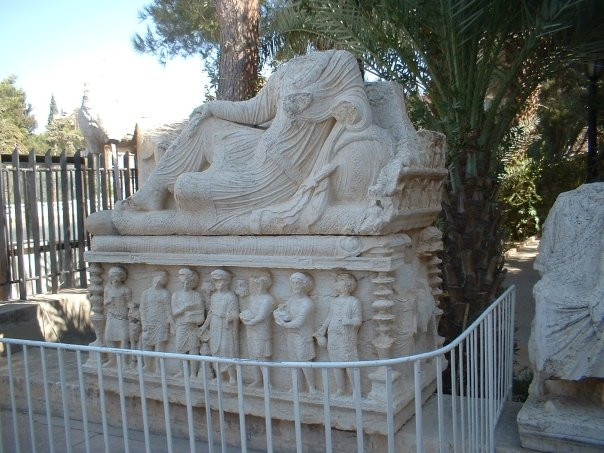 Palmyra Museum景点图片