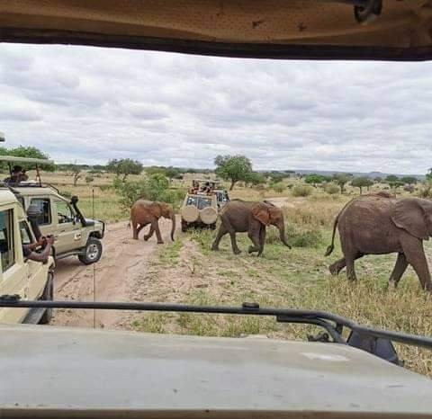 Pottos Adventures-阿鲁沙必去景点