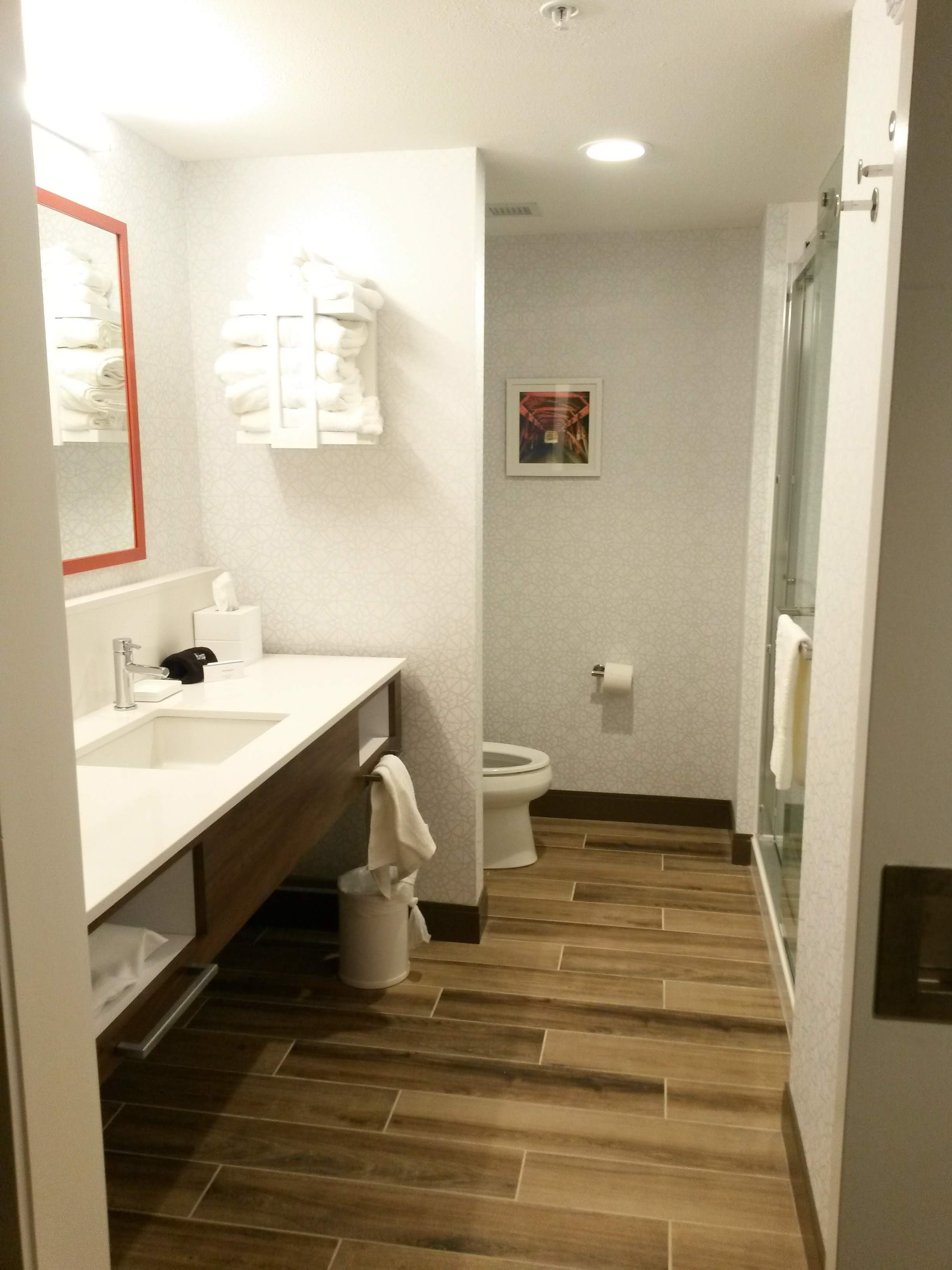 Hampton Inn & Suites By Hilton Kutztown-浴室