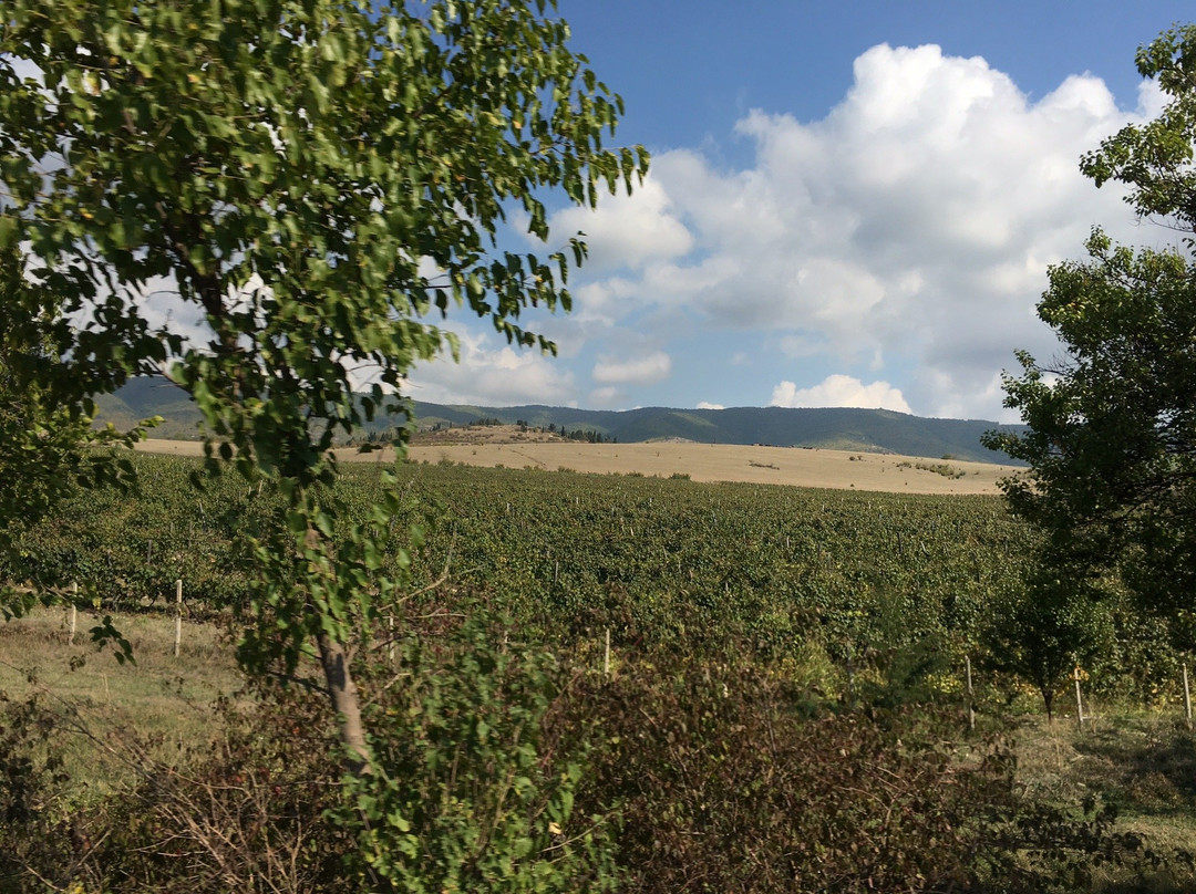 Kakheti Village Tours-Leliani必去景点
