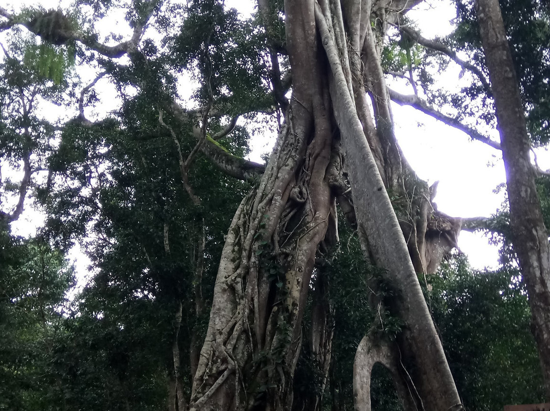 Luu Ly Waterfall-Gia Nghia必去景点