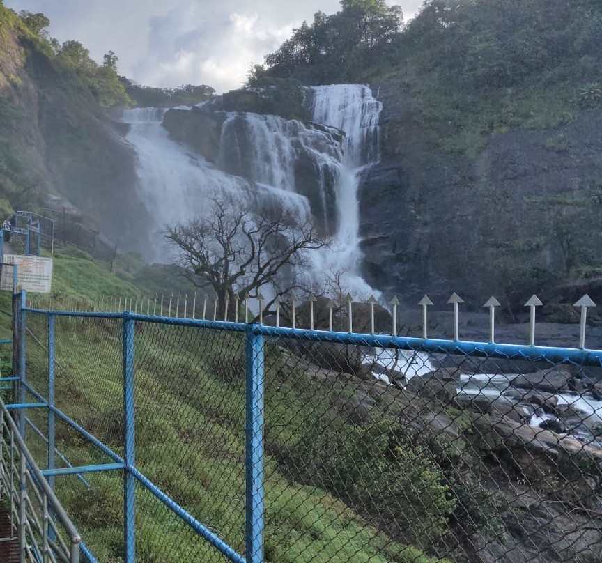 Mallalli Falls景点图片