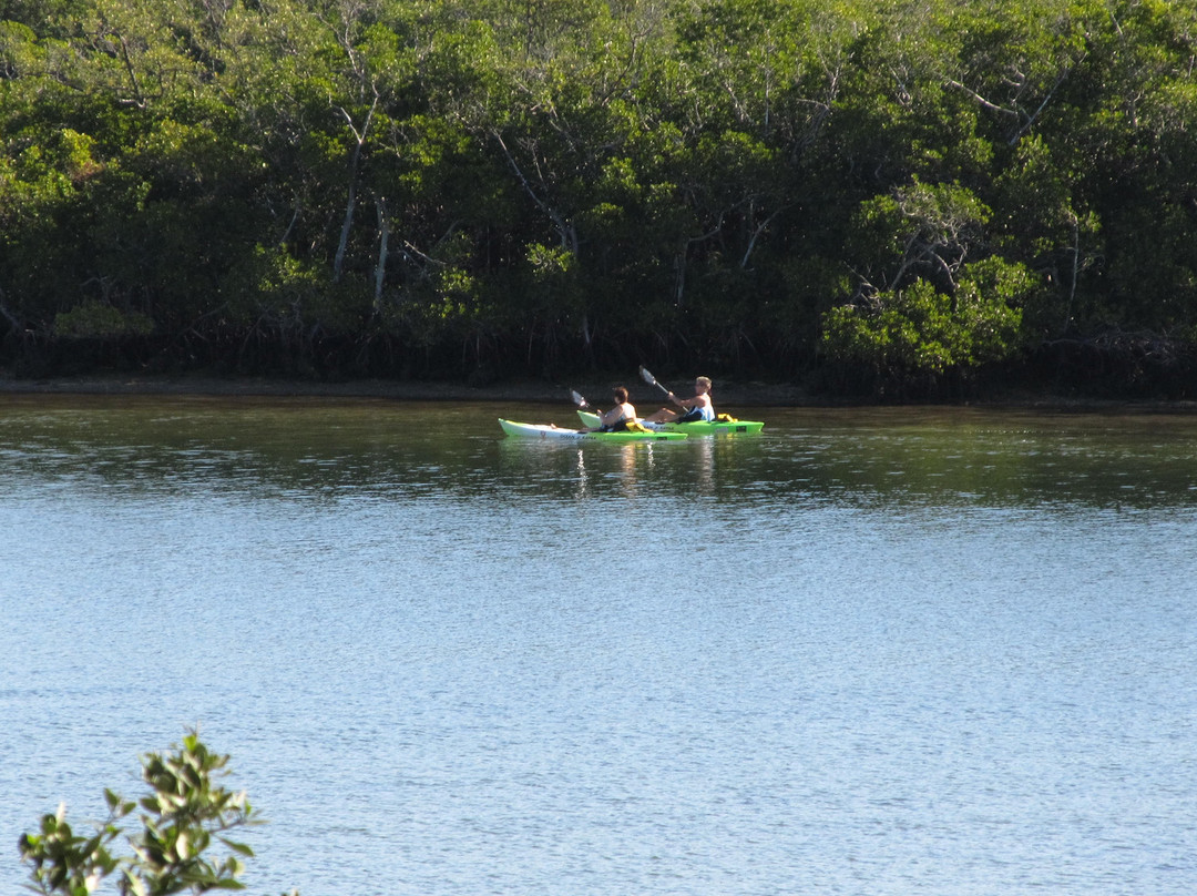 Green Iguana Rentals-Indian Shores必去景点
