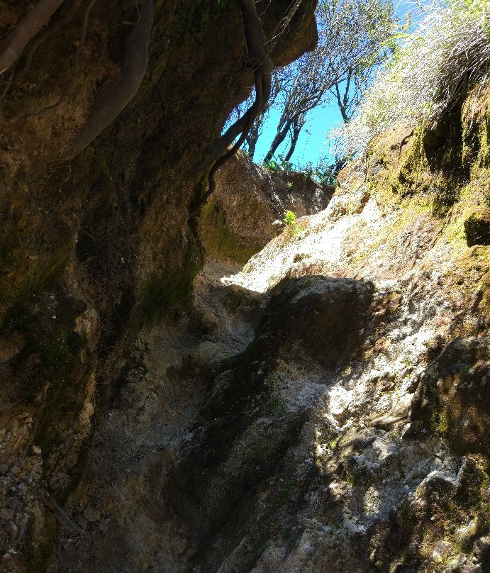 Mount Merbabu National Park-沙拉迪加必去景点