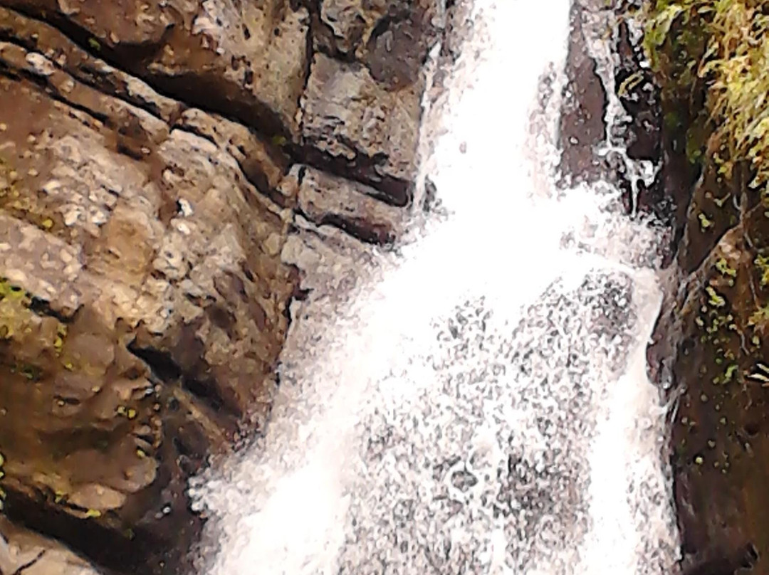 萨卡特卡斯旅游景点-El Yunque National Forest