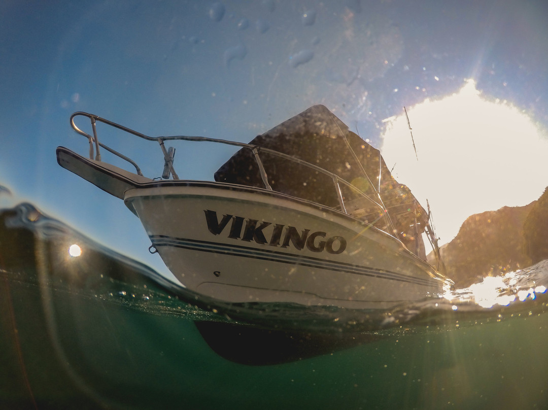 Vikingo Charters-瓦拉塔港必去景点