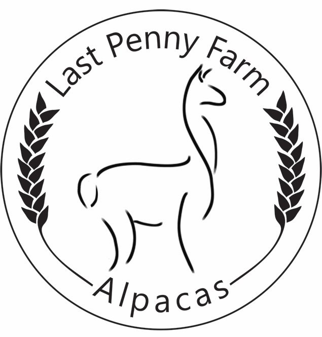 Last Penny Farm Alpacas景点图片