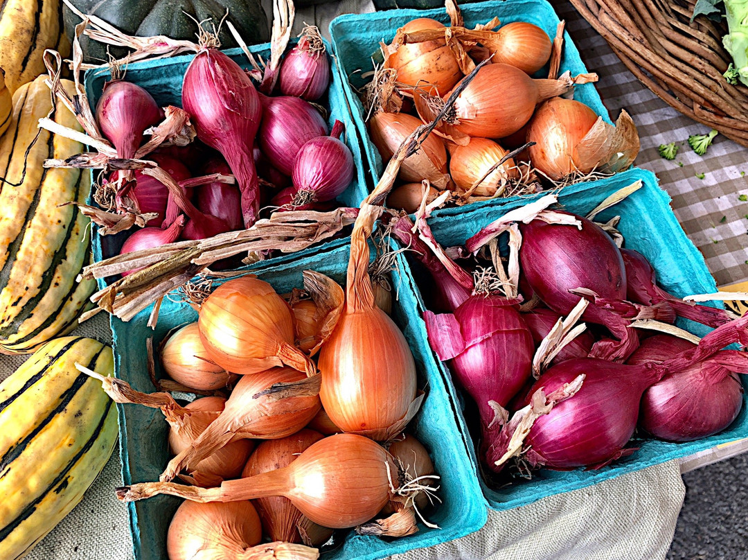 Greenfield Farmers Market-格林菲尔德必去景点