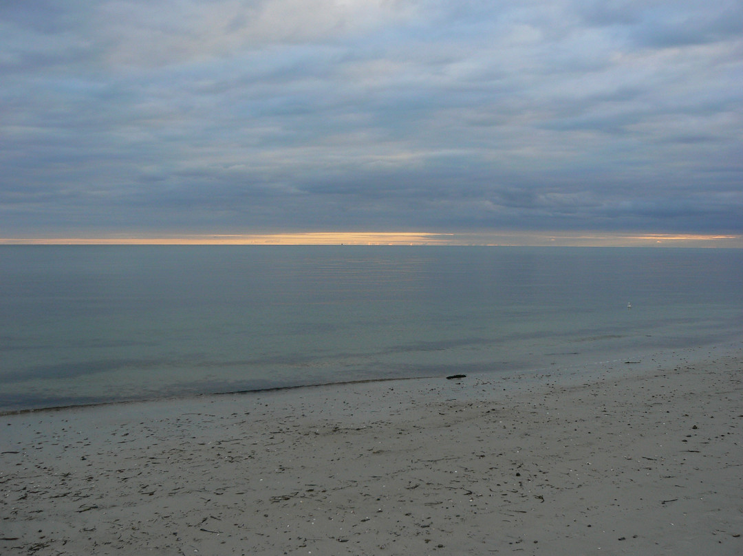 Seagull Beach景点图片