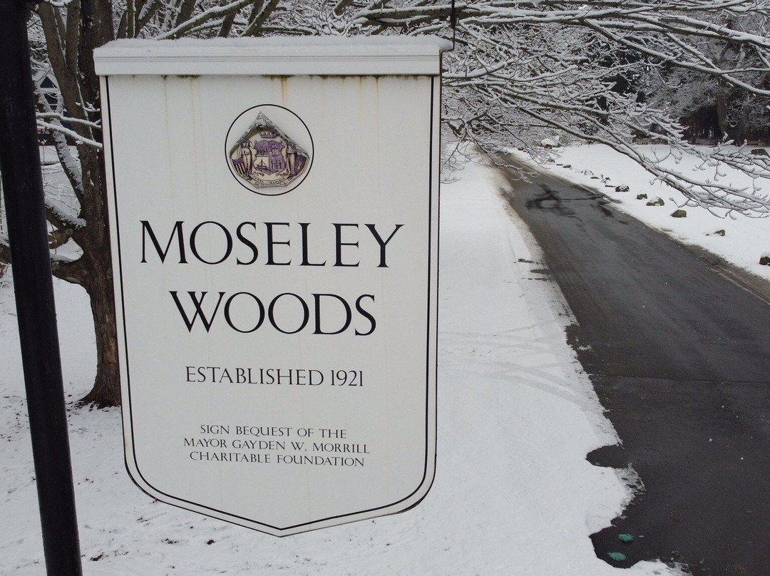 Moseley Woods Park景点图片