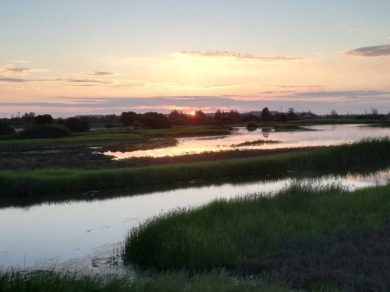 Greenfields Wetlands景点图片