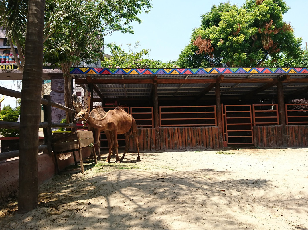 Maharani Zoo & Caves-Lamongan必去景点