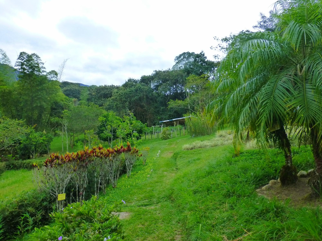Jardín Botánico San Jorge景点图片