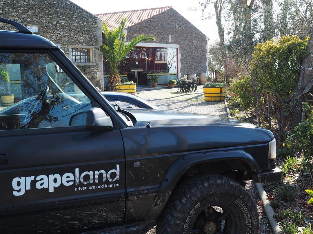 Grapeland Adventure and Tourism景点图片
