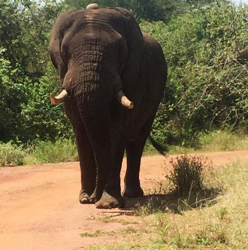 null-Akagera National Park