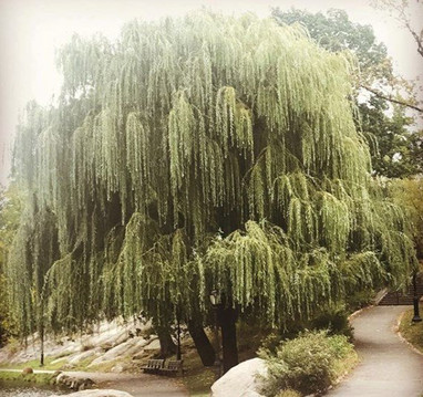 Revolutionary Tours NYC-纽约市必去景点