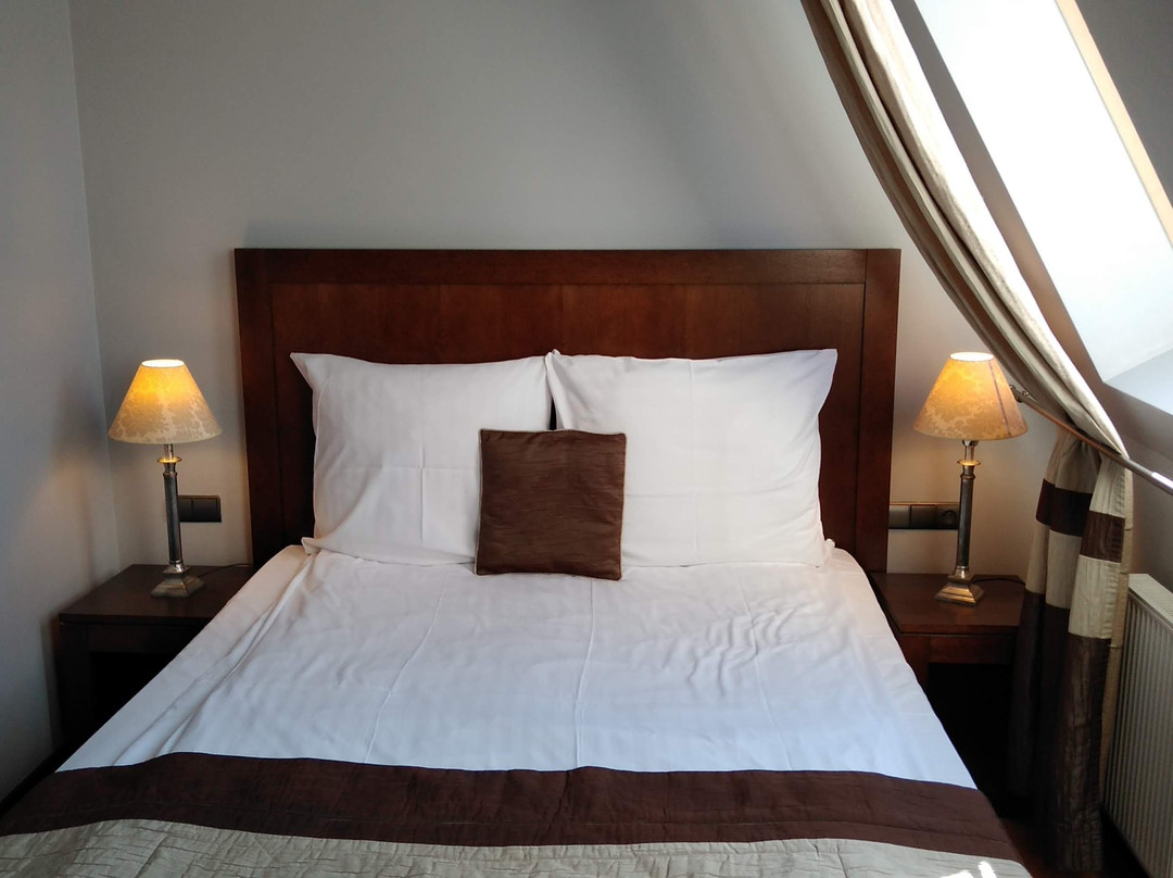 Hotel Nowy Dwór Elizy Blisko Sky Bridge主图