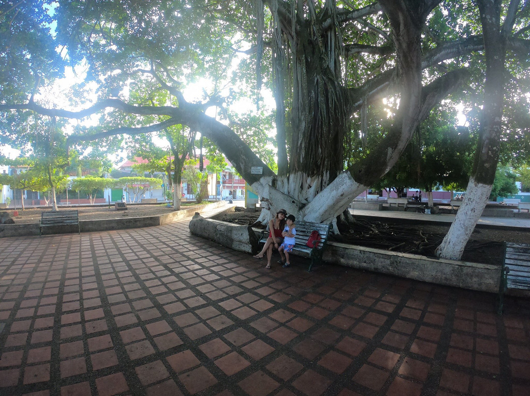 Hotel Don Tono主图