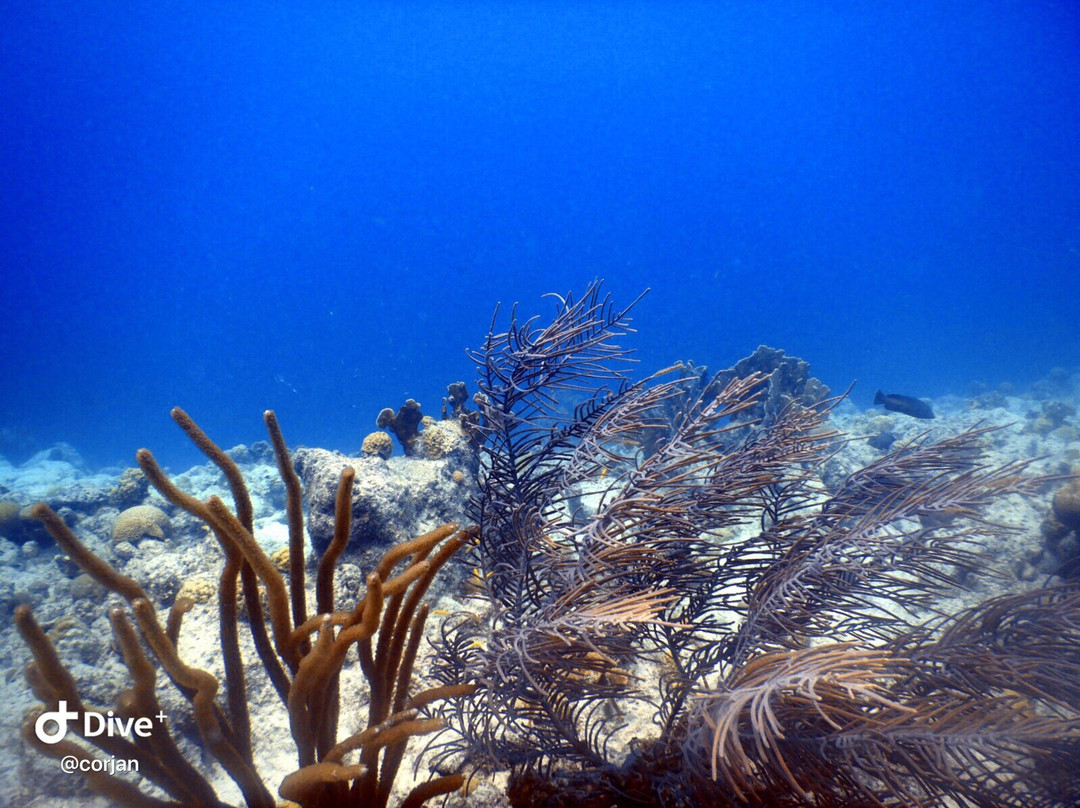 Boca Slagbaai-Washington-Slagbaai National Park必去景点
