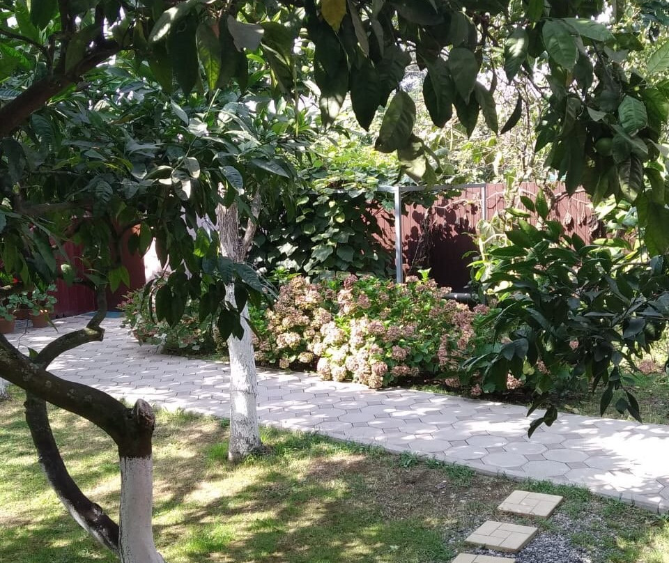 Guest House Kamelia主图