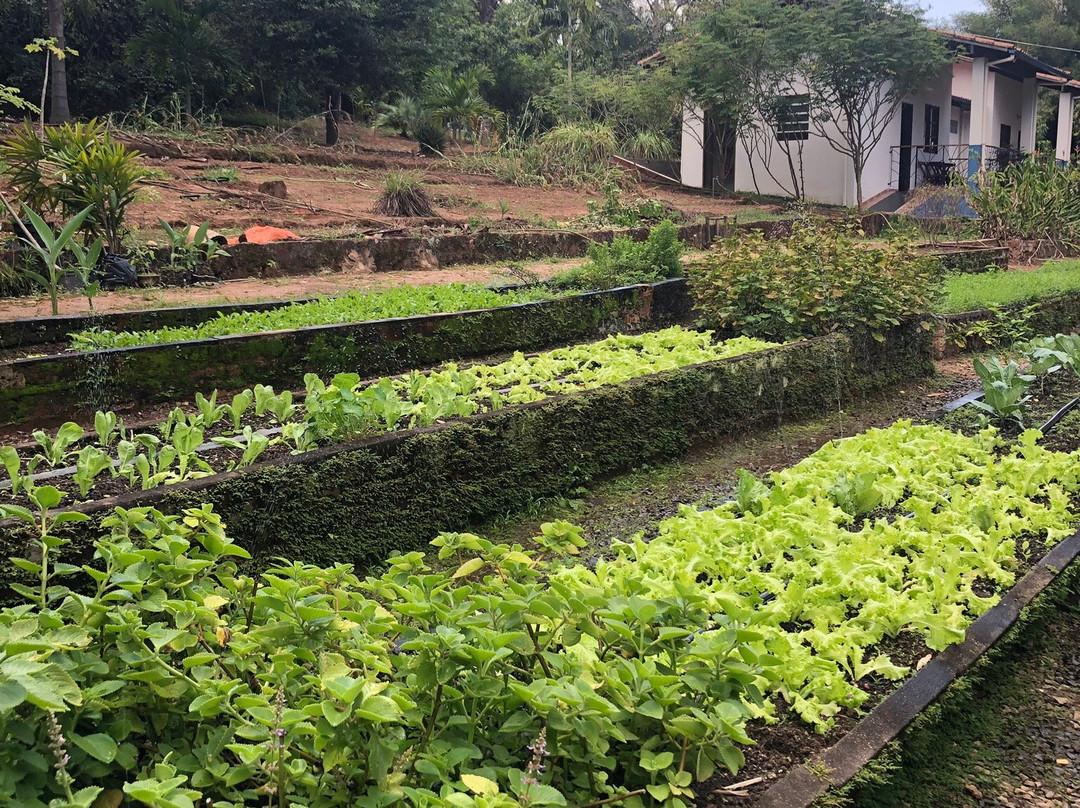 Pousada Casa Da Geleia主图