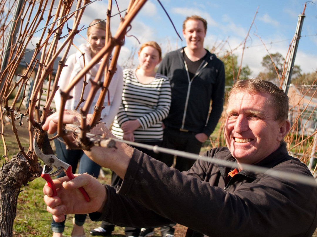 StelaVino Guided Wine Tours景点图片