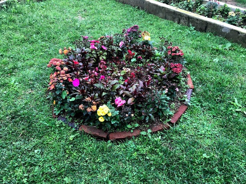 布什茶酒店主图