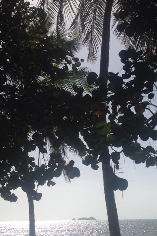 Venetur Margarita主图