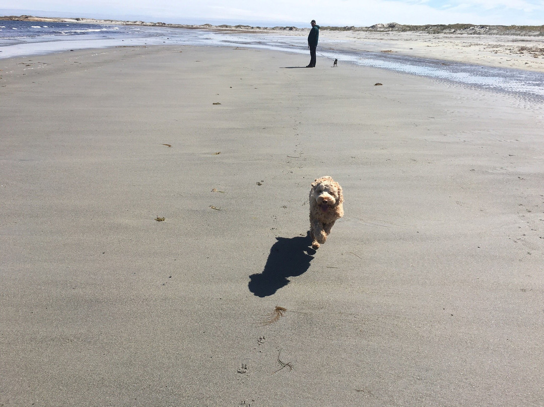 Cape Island Walking Trail景点图片