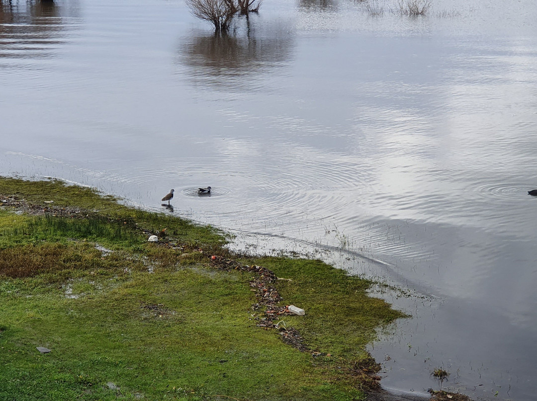 Lago Huilipilun-比亚里卡必去景点