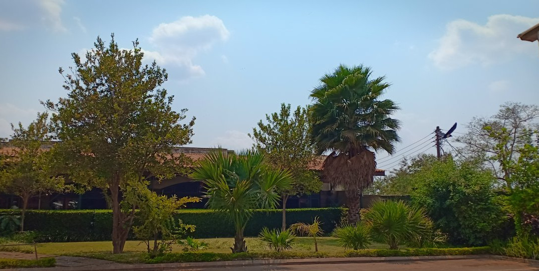 Old Town Mall-里朗威必去景点