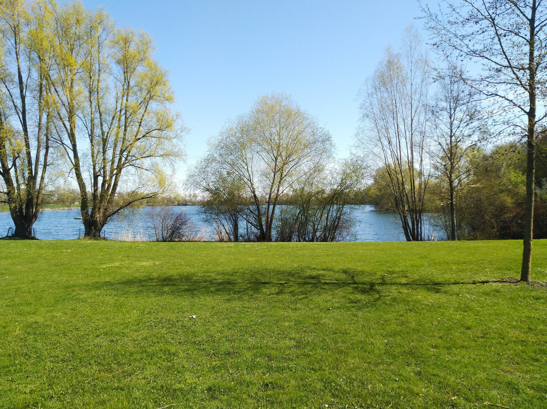 Baggersee Ludwigsfeld景点图片