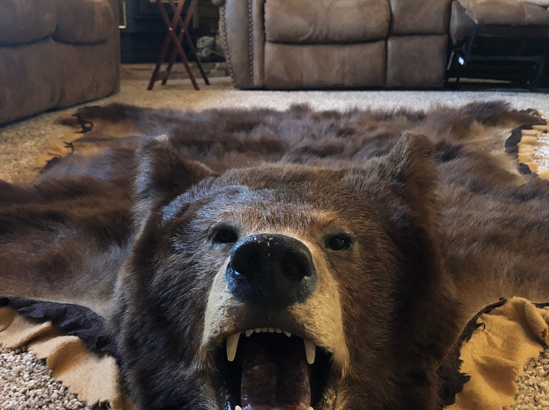 The Bear's Den B&B主图