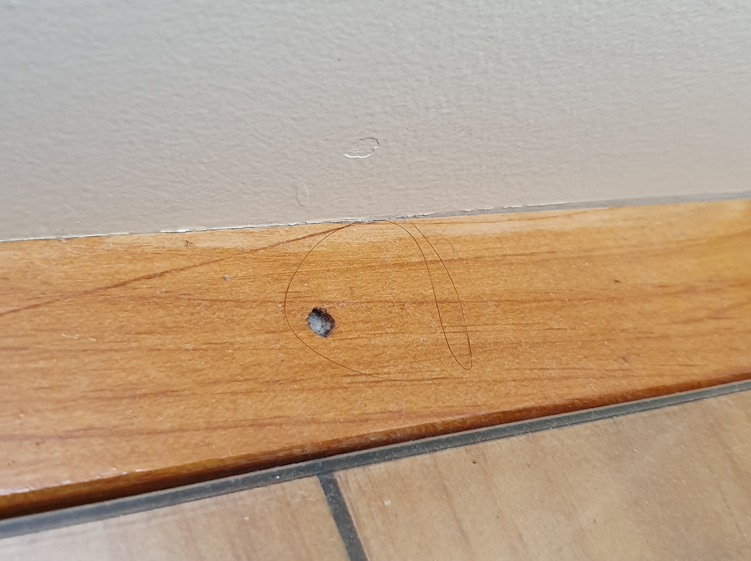 Merrill Farm Inn主图