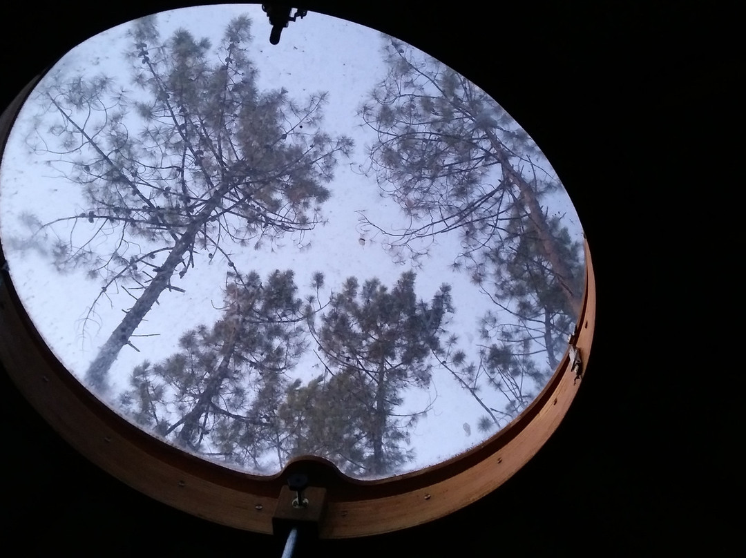 Campismo o Tamanco lda主图