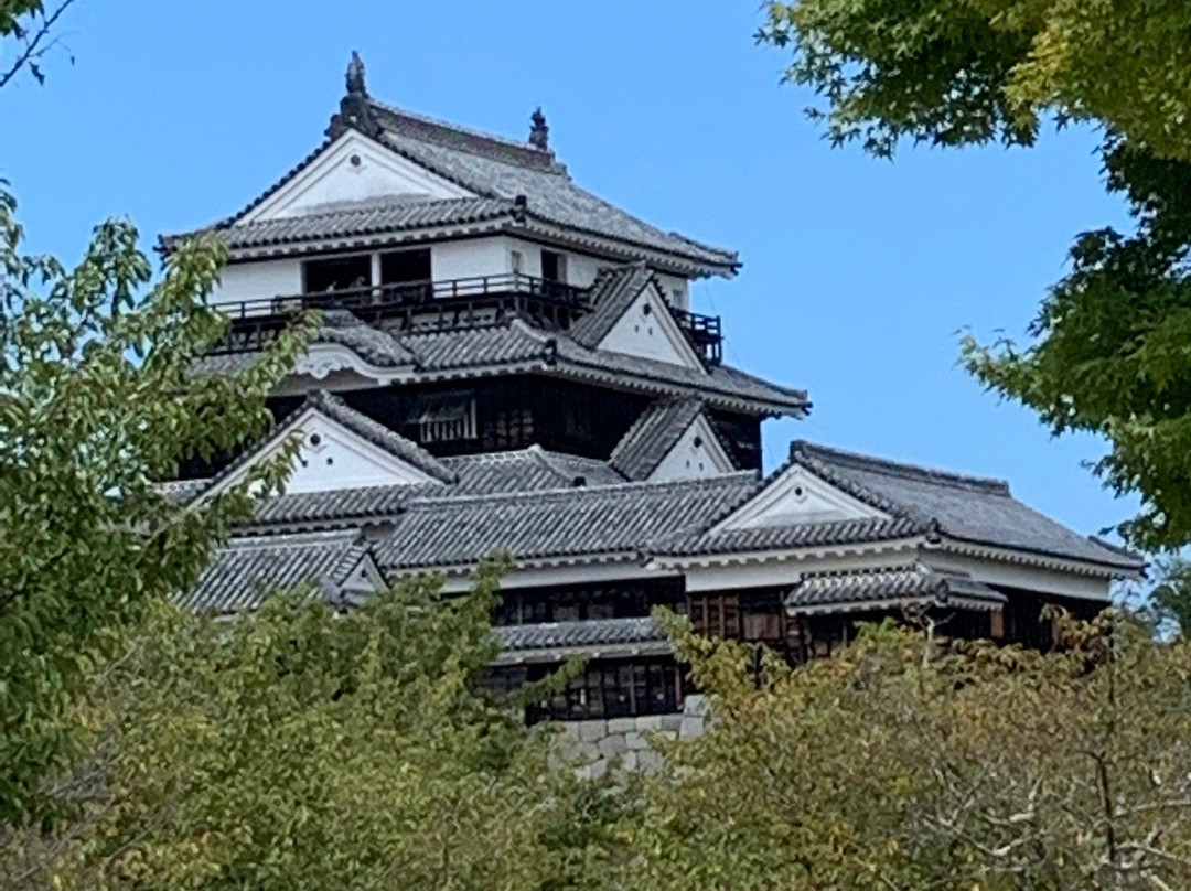 Matsuyama Castle Ninomaru Historical Garden-松山市必去景点