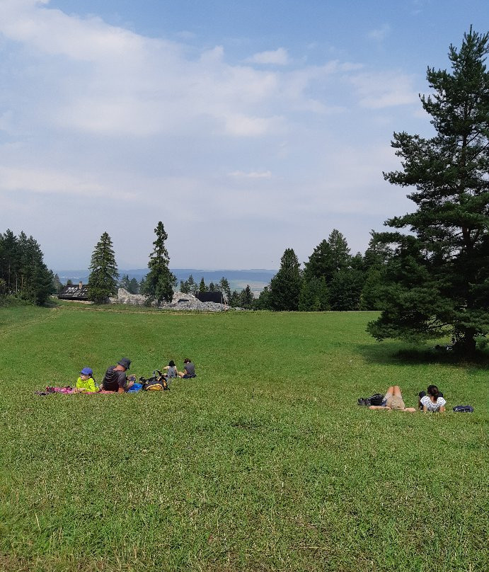 Kartuzian monastery ruins-Hrabusice必去景点