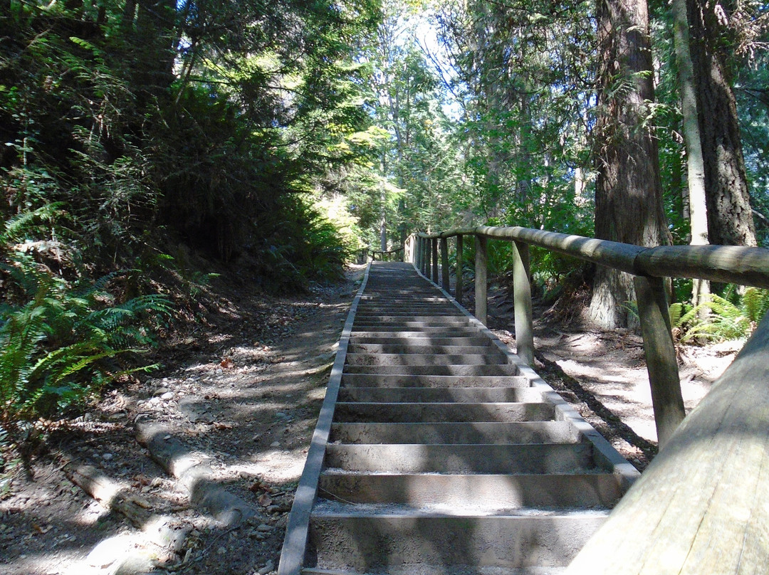 Byrne Creek Ravine Park-本那比必去景点