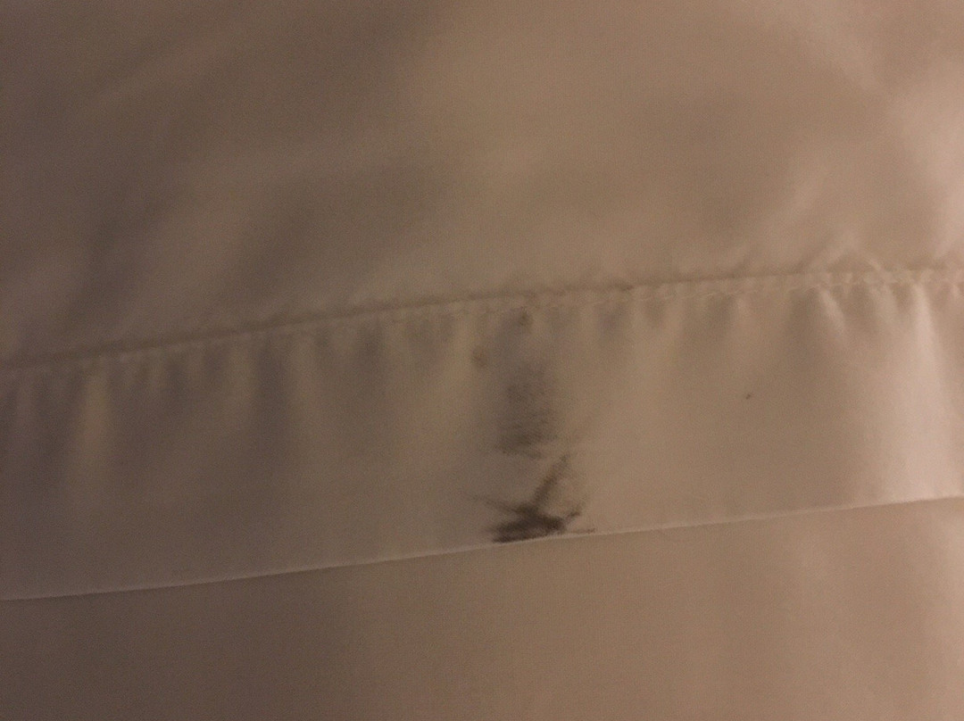 Holiday Inn Jonesboro By IHG主图