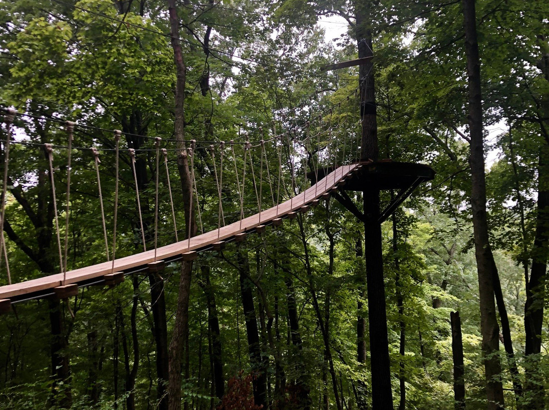 Grafton SkyTour at Aerie's Resort景点图片