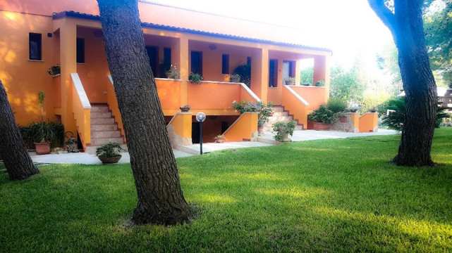 地中海的太阳主图