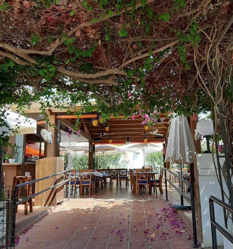 Havivis Terraza Lounge Bar景点图片