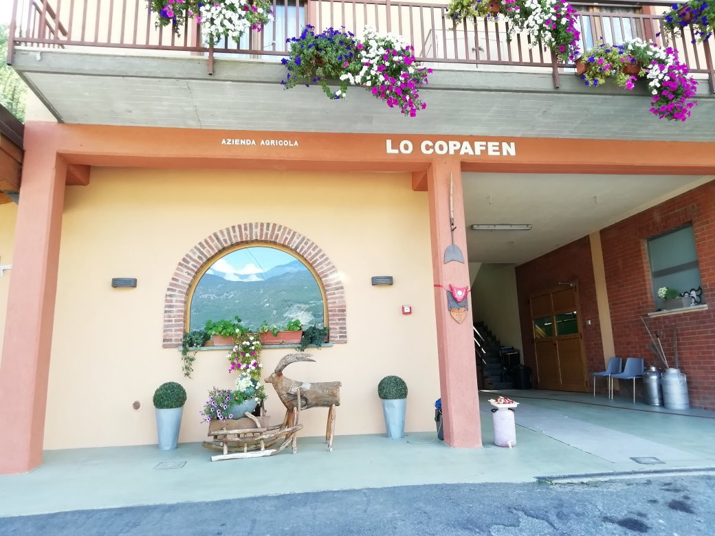 Azienda Agricola Lo Copafen景点图片