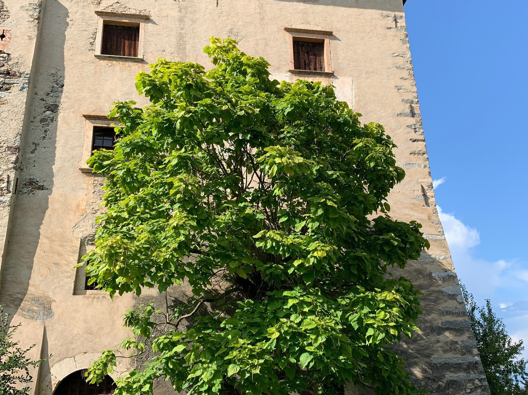 Castello di Nanno景点图片