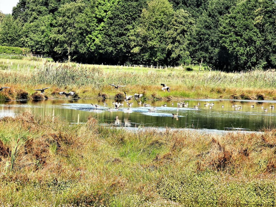 Biological Station Krickenbecker Seen景点图片