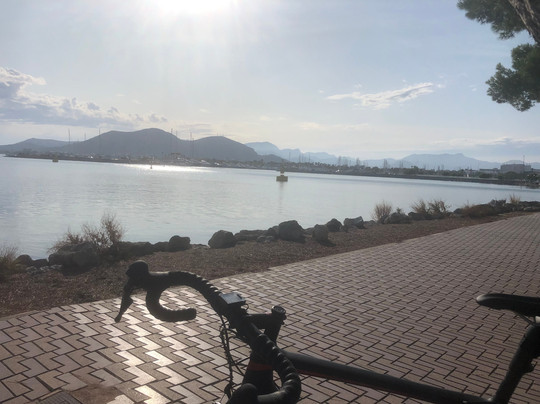 Paco’s Rent A Bike-阿尔库迪亚港必去景点