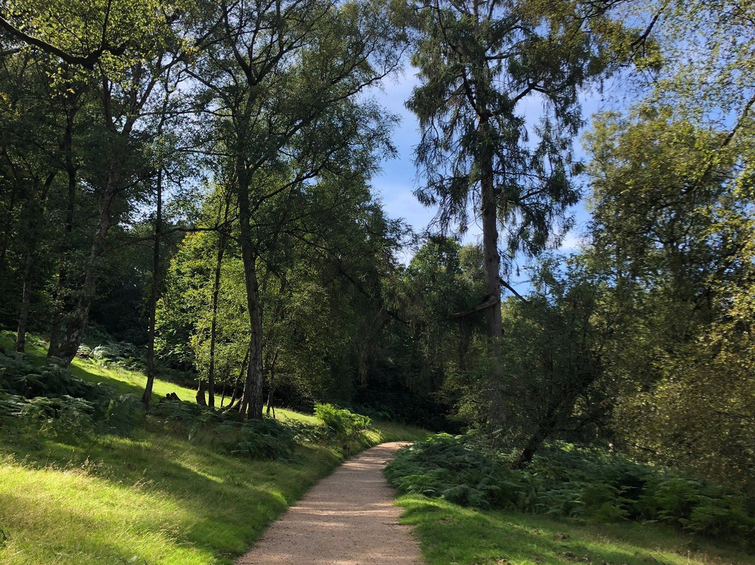 Leechpool and Owlbeech Woods景点图片