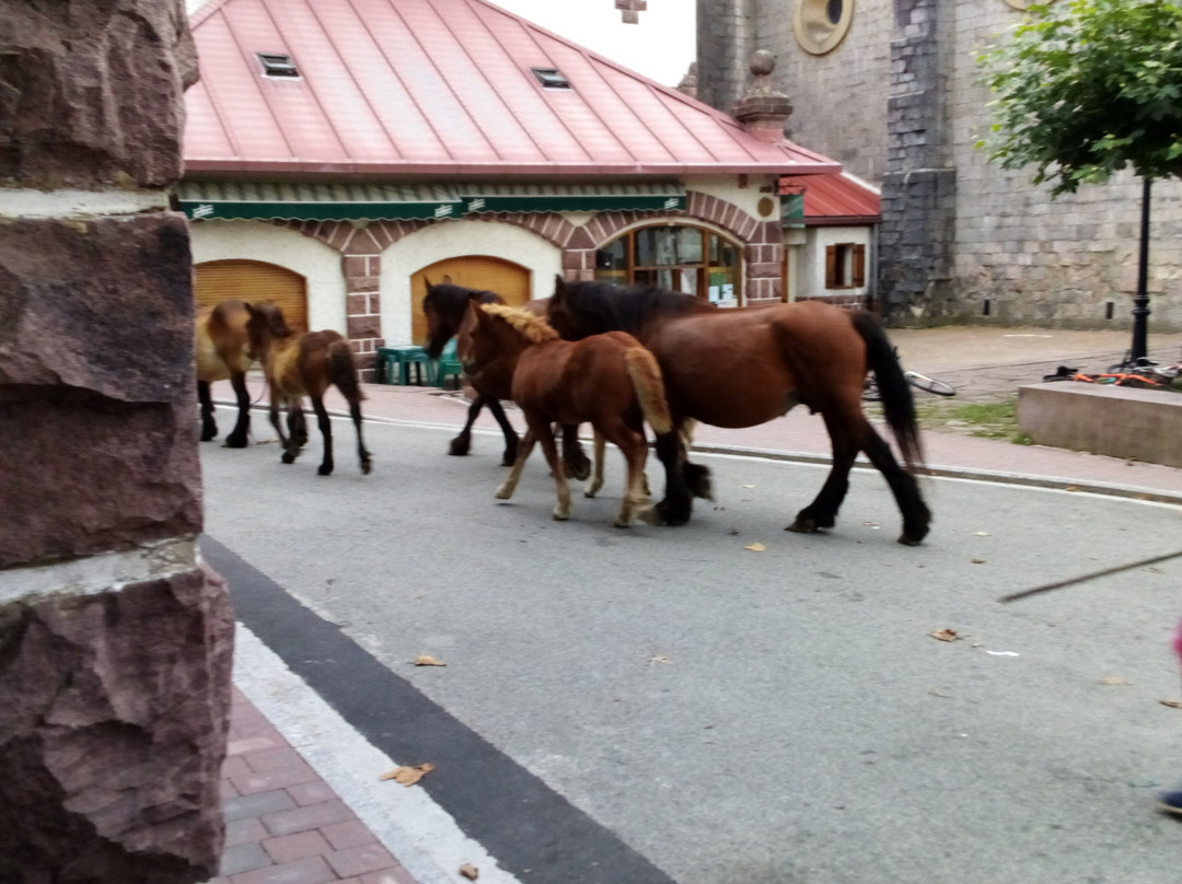 Hotel Rural Loizu主图