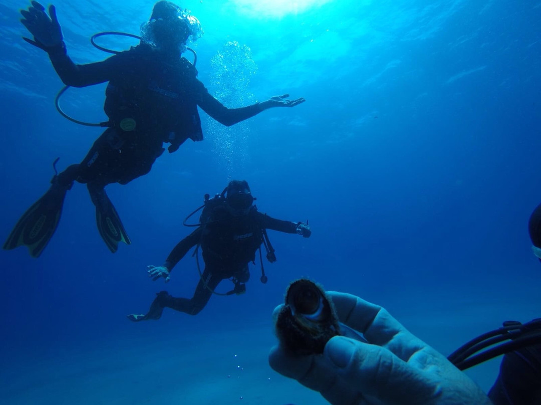 Abyssos Diving School & Snorkeling景点图片